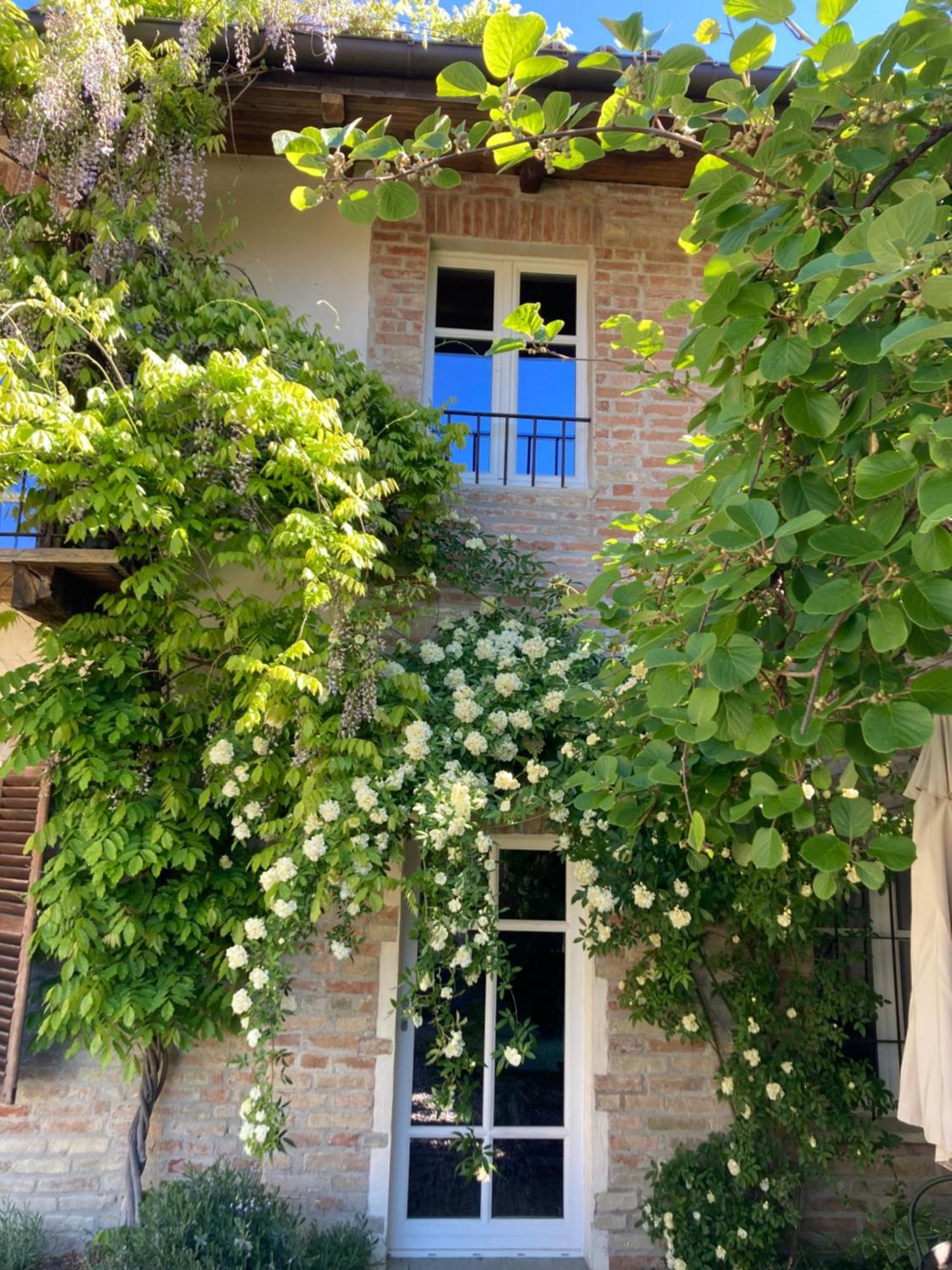 Greeneria Guarene Εξωτερικό φωτογραφία